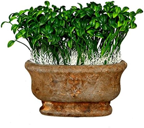 Alilaw Artificial Potted Plant, Bean Sprout in Ceramic Pot, 8 Inch