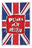 Empire 82084 Punks not Dead, Musik Poster ca. 91,5 x 61 cm