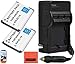 Pack of 2 EN-EL19 Batteries & Battery Charger Kit for Nikon Coolpix s100 S3100 S3200 S3300 S3500 S4100 S4200 S4300 S5200 S6400 S6500 Digital Camera + More!!
