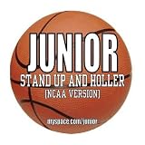 Stand Up & Holler (Davidson Wildcats)