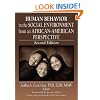 Human Behavior in the Social Environment from an African-american Perspective (Haworth Health and Social Policy)