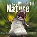 Amazon MP3: End Credits at Amazon mp3: 51c%2Bq2r5PpL._SL75_
