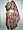 Brown Jamawar Pashmina Shawl,wrap Throw Reversible Image #3