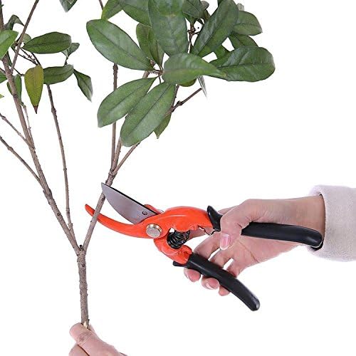 Traditional Bypass Pruning Shears, the Ecocity Garden Shears, Garden Scissors with Rust Resistant, Carbon Steel and Steel Blade, Long and PVC Handle