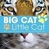 Big cat, little cat
