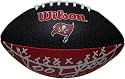Tampa Bay Buccaneers Team Logo Mini Football