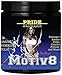 Pre Workout for Women and Men - Motiv8 Fruit Punch 250g - Bcca & Glutamine Preworkout Supplement for Recovery & Endurance - Best Amino Acid Energy Mix
