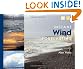Instant Wind Forecasting