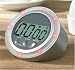 Kitchen & Housewares : Salter 351 Flashing Light Timer
