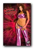 Candice Michelle Wwe Wrestling 22.5X34 Poster 8865