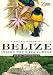 A Natural History of Belize: Inside the Maya Forest (Corrie Herring Hooks)