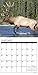 Bull Elk 2017 Wall Calendar