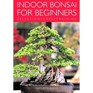 Bonsai Book - Indoor Bonsai for Beginners