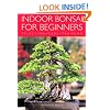 Indoor Bonsai for Beginners: Selection  Care  Training