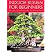 Indoor Bonsai for Beginners: Selection - Care - Training