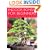 Indoor Bonsai for Beginners: Selection  Care  Training