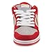 Nike DUNK LOW PRO SB mens skateboarding-shoes 304292