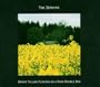 Bright Yellow Flowers on a Dark Double Bed