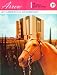 Golden Arrow - The Children's Book on Space (At America's Spaceport)
