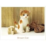 ���i�̏ڍ�