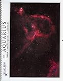 Aquarius 2010 Starlines Astrological Calendar