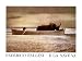 Federico Fellini - Photography Poster - 24 x 36