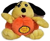 Pumpkin Tummies - Dog 9
