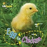 Egg to chicken