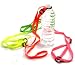 Neon WATER BOTTLE HOLDER Strap Lanyard
