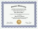 Online PhD Degrees: You Too Can Earn One 51c1IC3dtaL. SL160