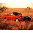 1965 Red Ford Mustang Fastback Print POSTER muscle car - 19x13