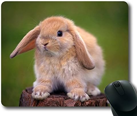 HOHOLALAY Bunny on a Tree Trunk Rectangle Mouse Pad,Mousepad,Mouse Mat