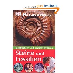 Naturforscher - Steine und Fossilien: Beobachten und experimentieren