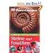 Naturforscher - Steine und Fossilien: Beobachten und experimentieren