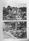 Mikado'S Garden Tolio, Fruit Shop Japan Antique Print