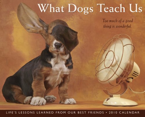 What Dogs Teach Us 2010 Calendar