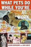 What Pets Do While You`re at Work