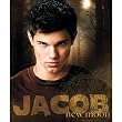 Twilight JACOB NEW MOON Fleece Throw Blanklet 50 X 60 The Movie
