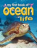 My first book of ocean life