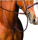 Collegiate Raised Standing Martingale