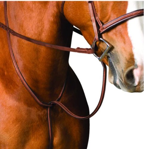 Collegiate Raised Standing Martingale