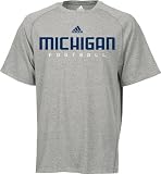 Michigan Wolverines Antimicrobial Sideline T-Shirt