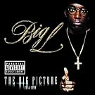 The Big Picture 1974-1999