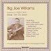 Big Joe Williams-Complete Recorded 1