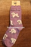 Bichon Frise Poses Acrylic/Nylon Dog Socks - One Pair by FBF