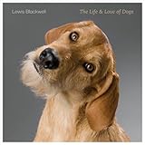 The Life and Love of Dogs