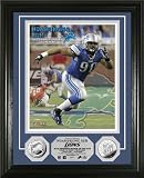 NFL Detroit Lions Ndamukong Suh?2010 Defensive?ROY 24KT Gold Coin Photo Mint