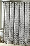 Avanti Linens Galaxy Shower Curtain, Silver