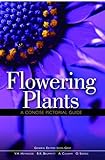 Flowering plants : a concise pictorial guide