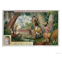 Tapping Rubber Trees, Promotional Advertising Card for "Veritable Extrait De Viande Liebig"